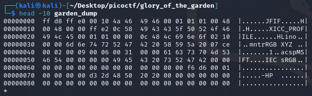 screenshot of the garden image hexdump