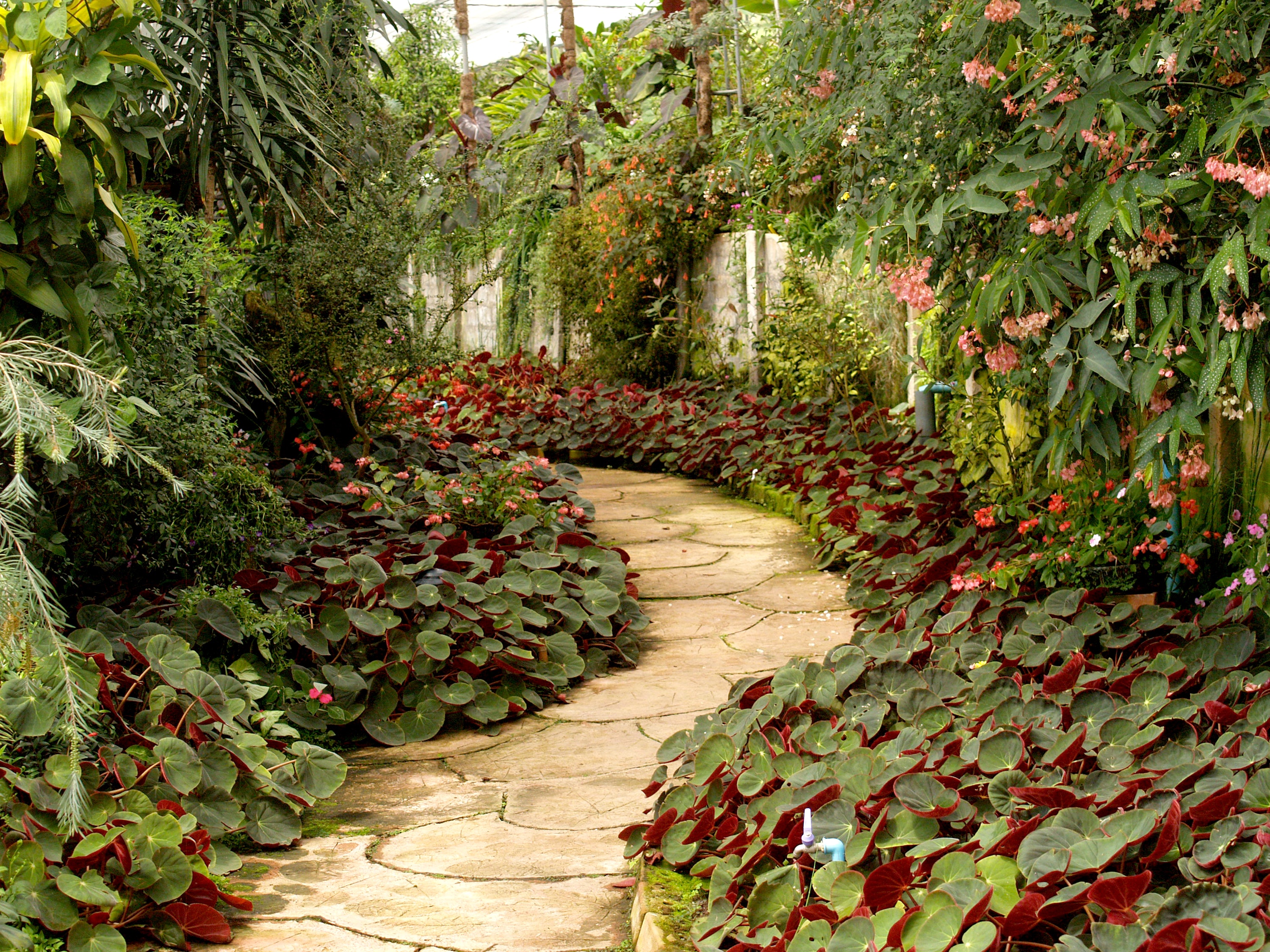 image of a garden